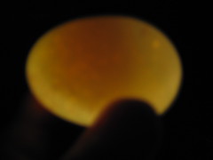 4626719380_6d9a2460bf_m.jpg