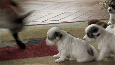 tumblr_mu8515wJH51skpqx1o1_400.gif