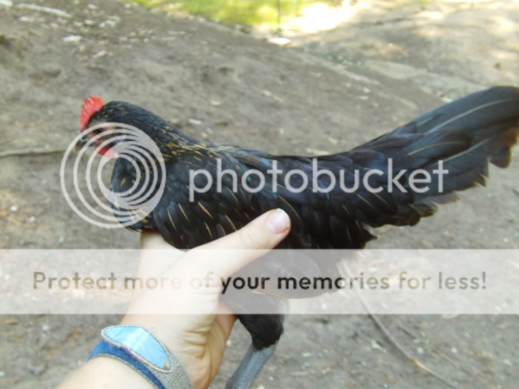 FILE0629.jpg