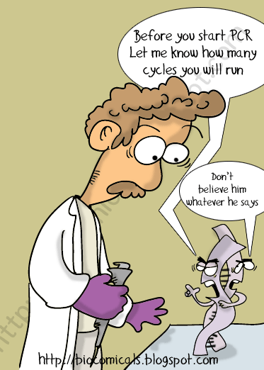 PCR.gif