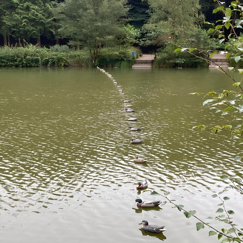 1716495432117288778.jpg