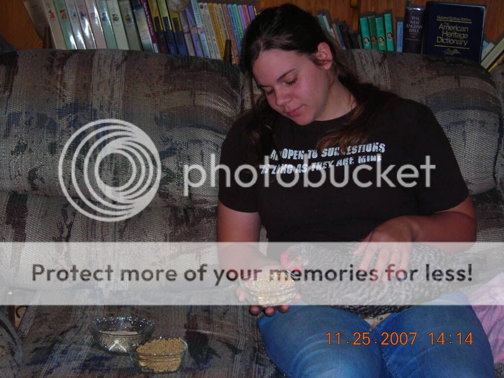DSCN1391.jpg