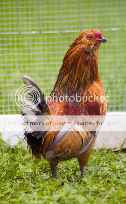 DSC_5701.jpg