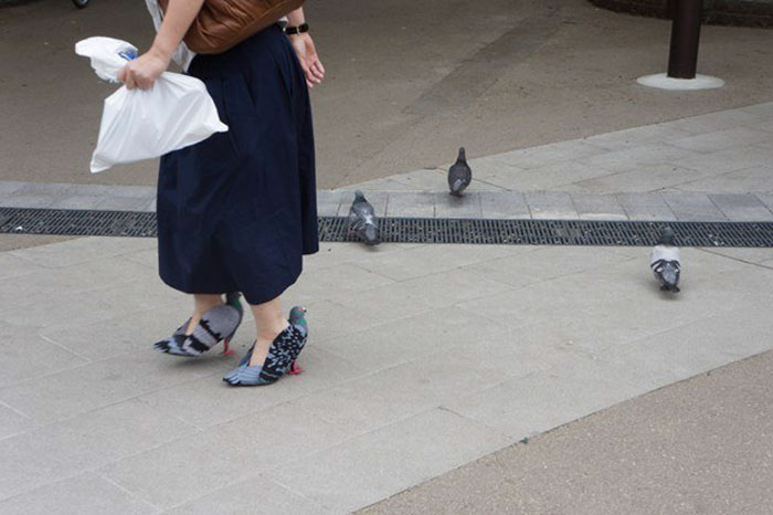 pigeon-shoes-japanese-woman-1.jpg