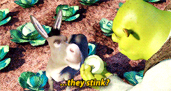 tumblr_n3jr2gIInx1s12wx1o1_250.gif