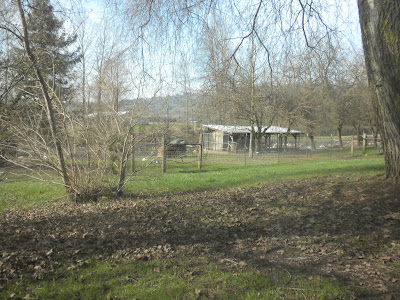 DSCN2693.JPG