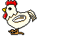 Chickenlayingegg.gif