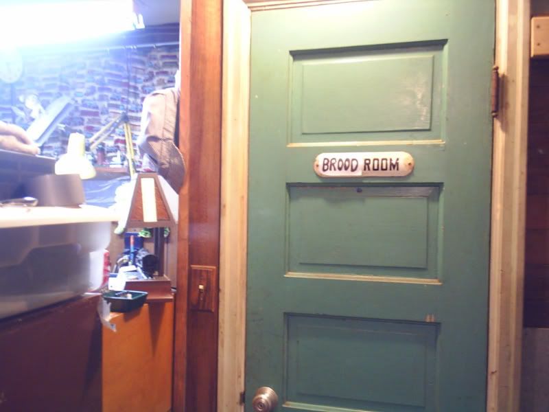 thebroodroom.jpg
