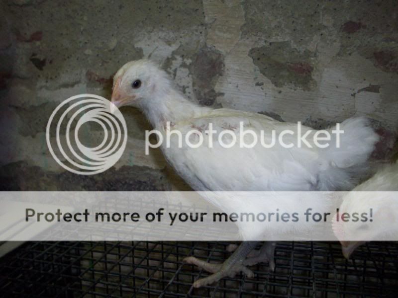 100_7210.jpg