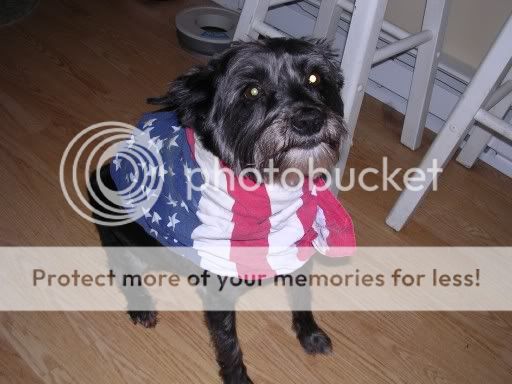 IDdottie.jpg