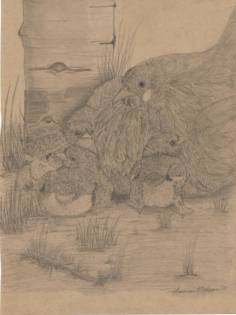 sketches.jpg