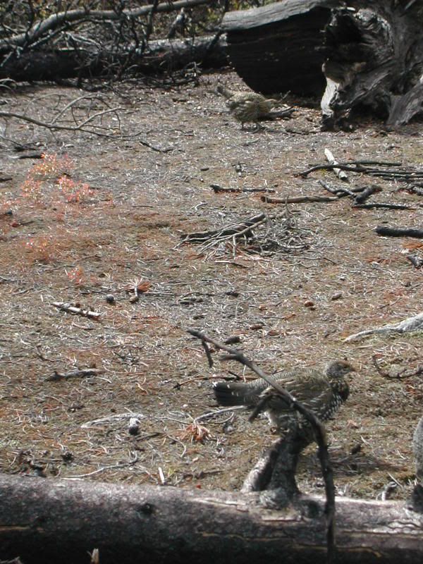 DSCN4893.jpg