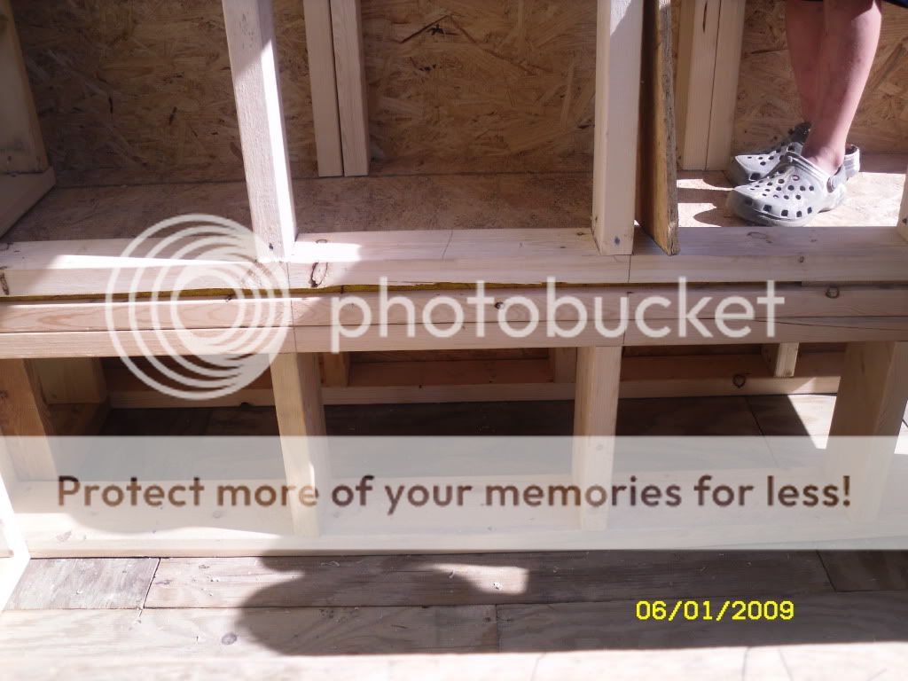 SDC10037.jpg