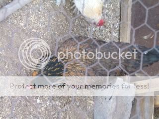 DSCF4599.jpg