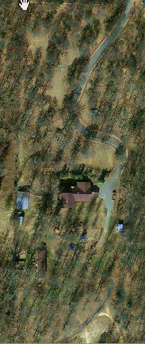 533650394_51a522bd64.jpg