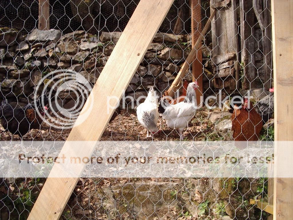 IMGP2273.jpg