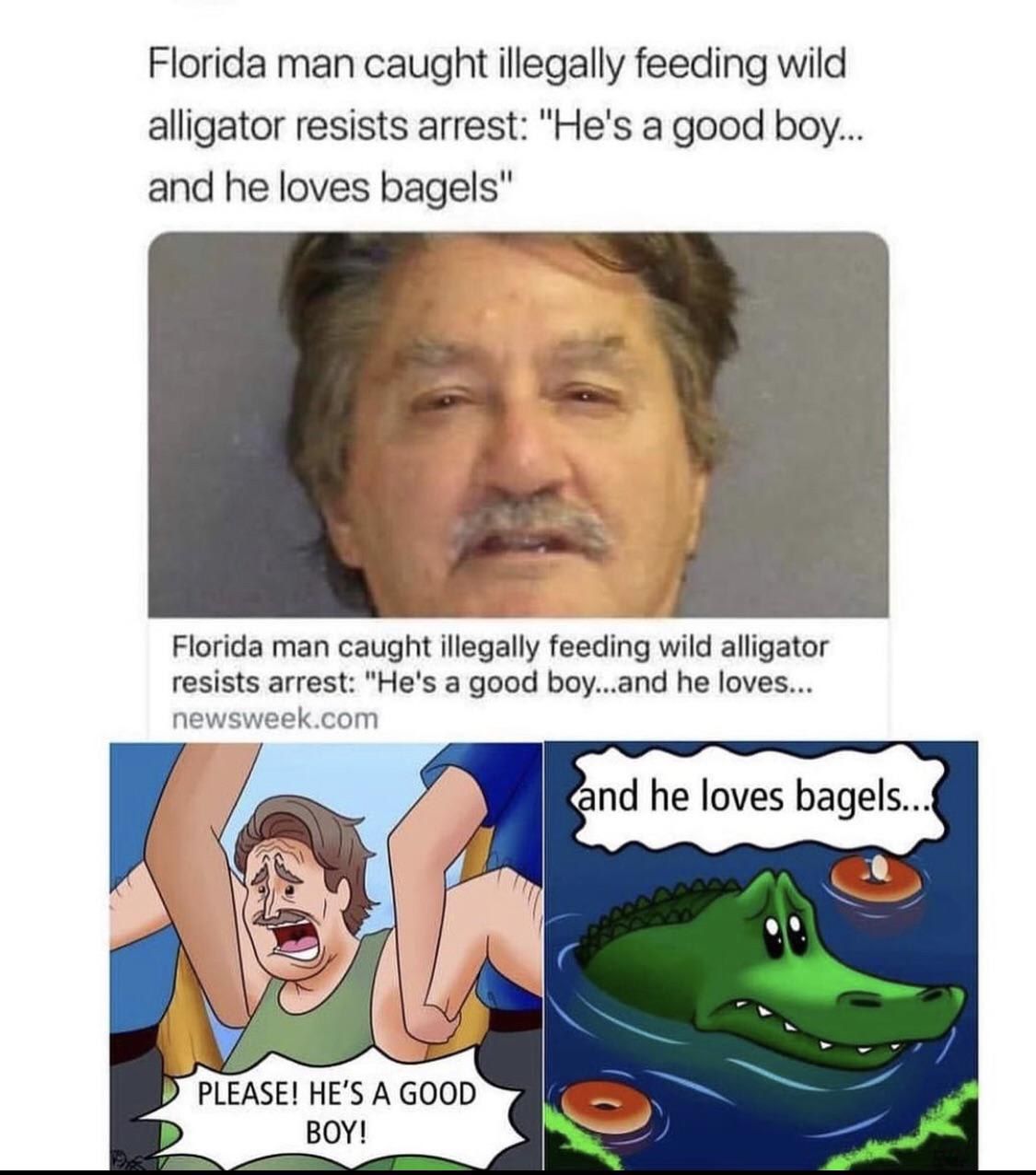 73 Florida Man Meme ideas in 2021 | florida man meme, florida, funny memes