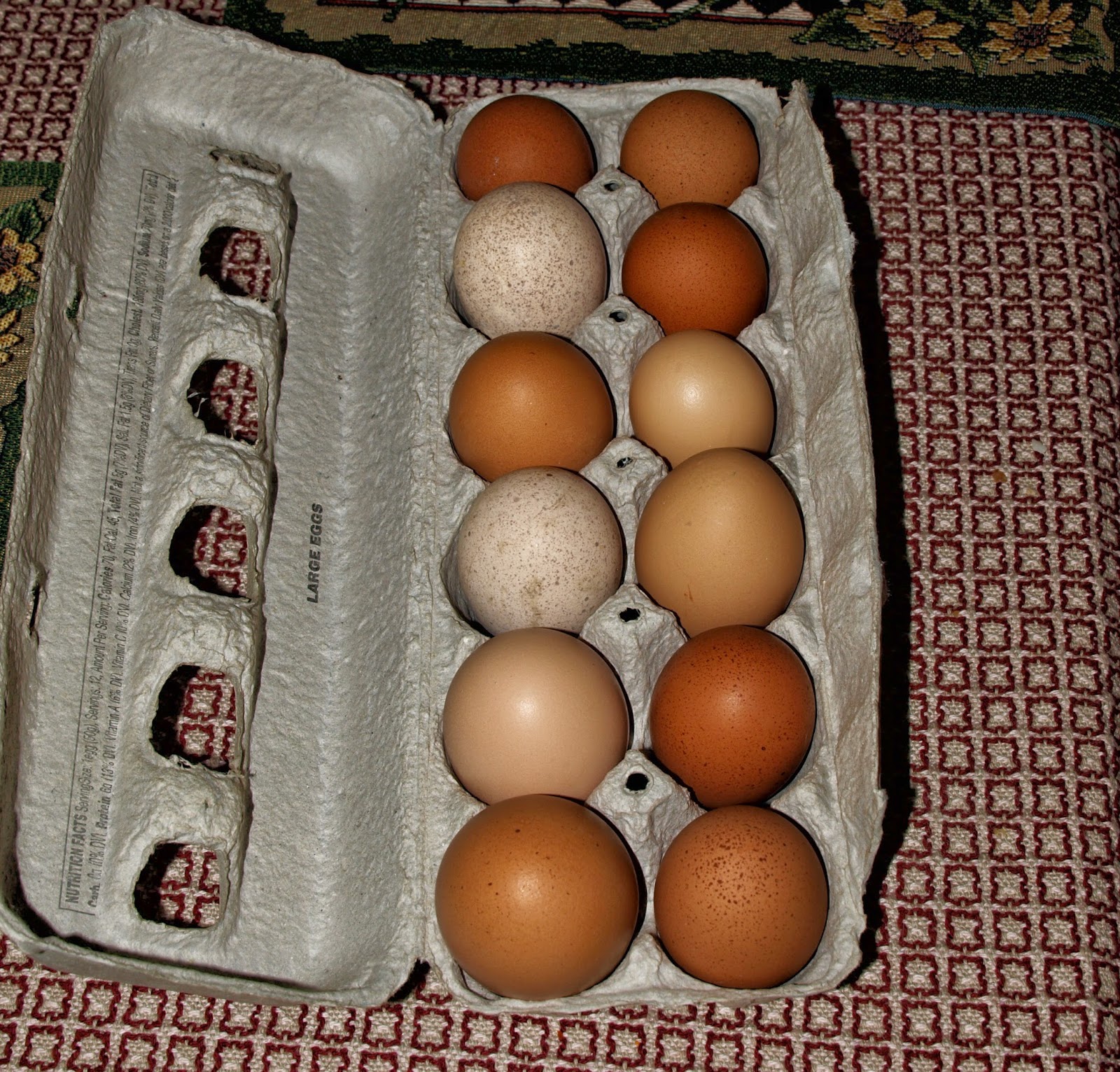 Eggs5March14.jpg