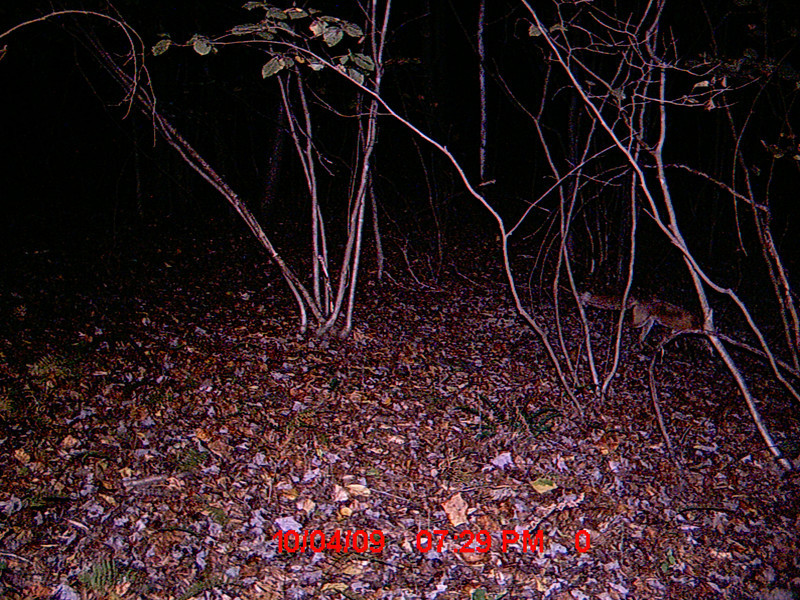 983665433_GTjtg-L.jpg