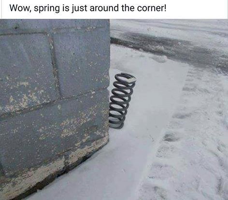 900x900px-LL-72d996bd_Spring.jpeg