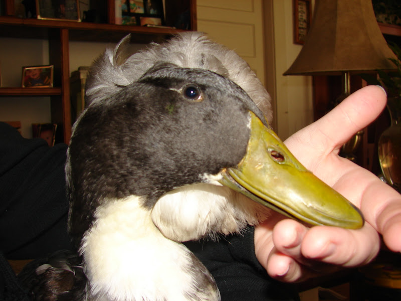 DSC00602.JPG