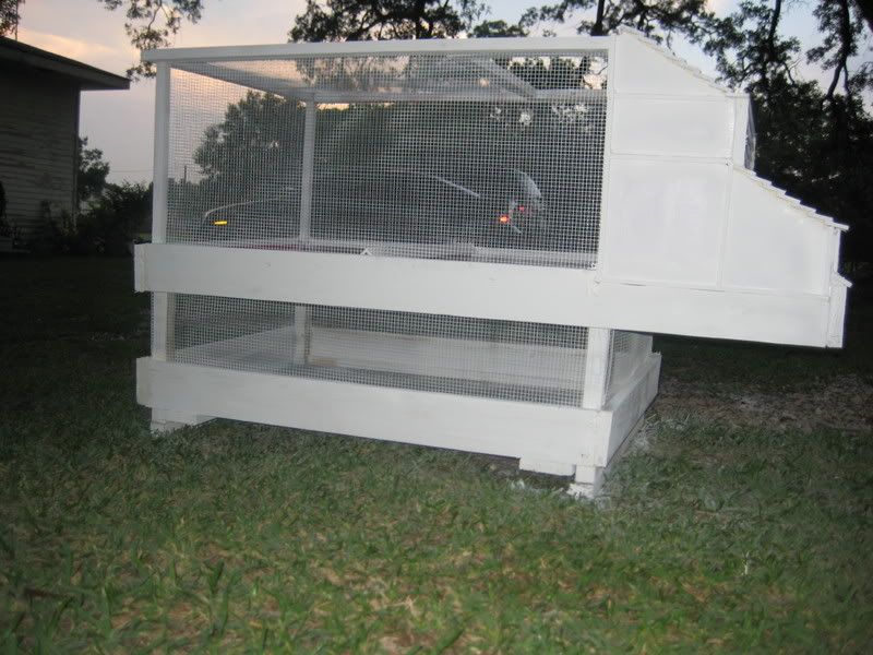 Frogging2008003.jpg