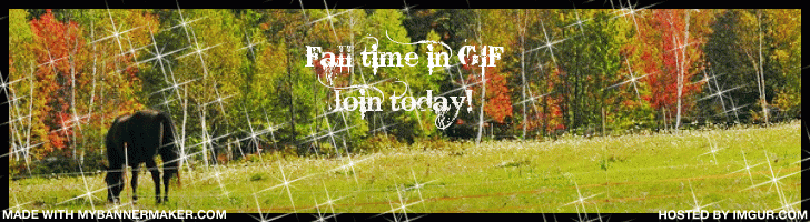 6dsSp.gif
