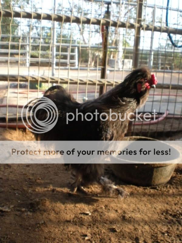 july302010081.jpg