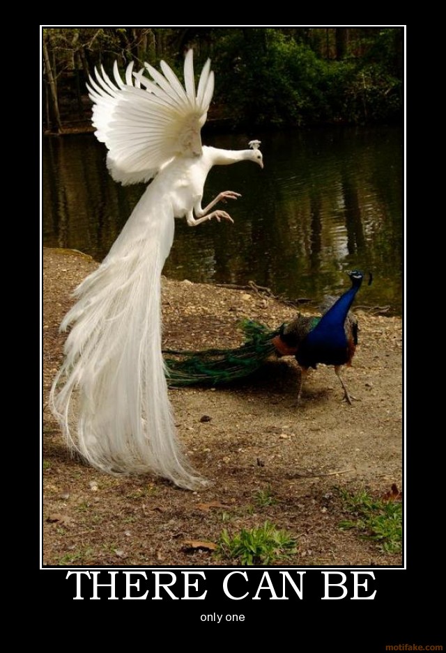There-can-be-peacock-one-highlander-demotivational-poster-1289765548.jpg
