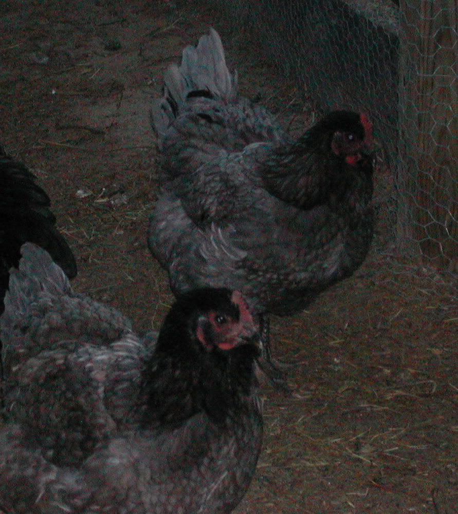 DSCN3333.jpg