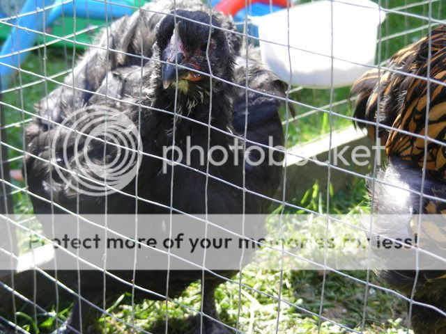DSCF1057.jpg