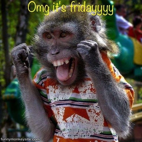 43658-Omg-Its-Friday.jpg