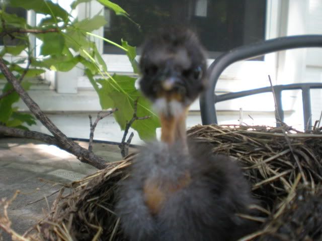 DSCN0638.jpg