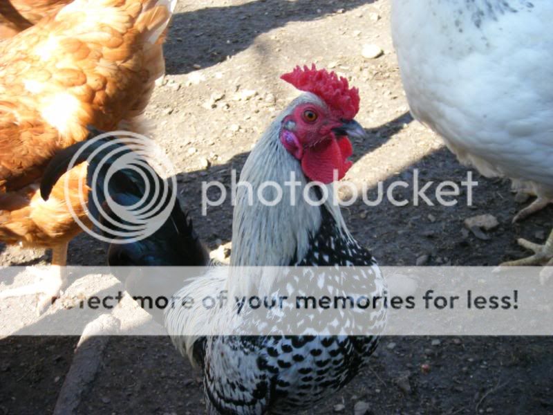 DSCF8710.jpg