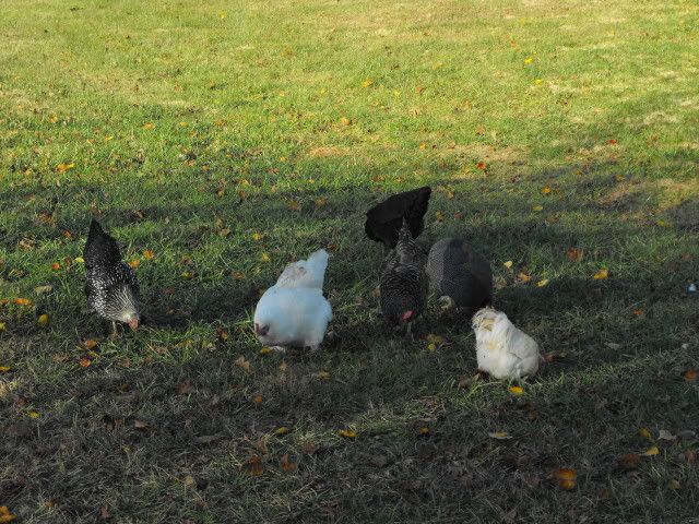 2008_1105TheGang0156.jpg