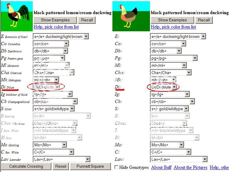 DiluteSample.jpg