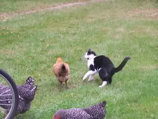 103_4177.jpg