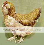 poulefaverollesfoncee.jpg