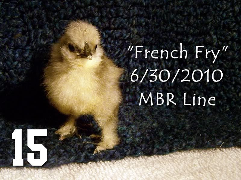 15FrenchFry1.jpg