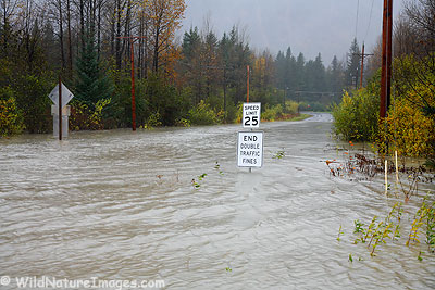 _MG_5273-blog.jpg