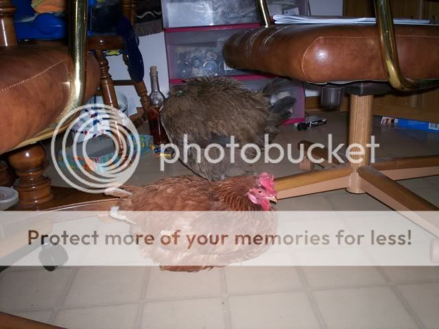 100_2086.jpg