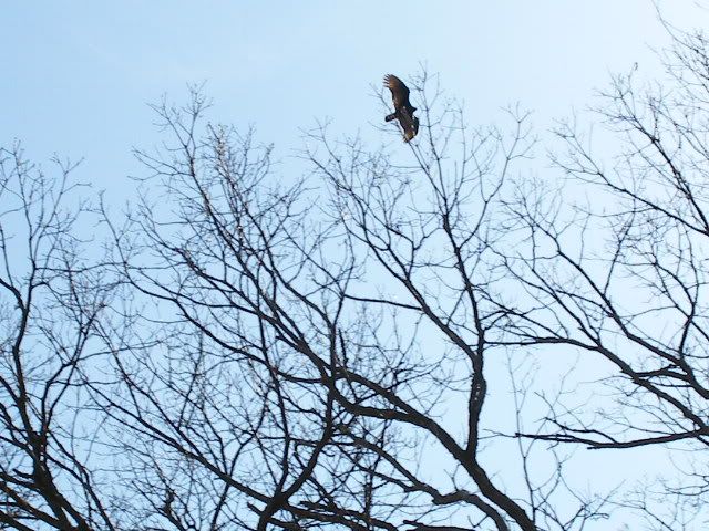 2009_04020137.jpg