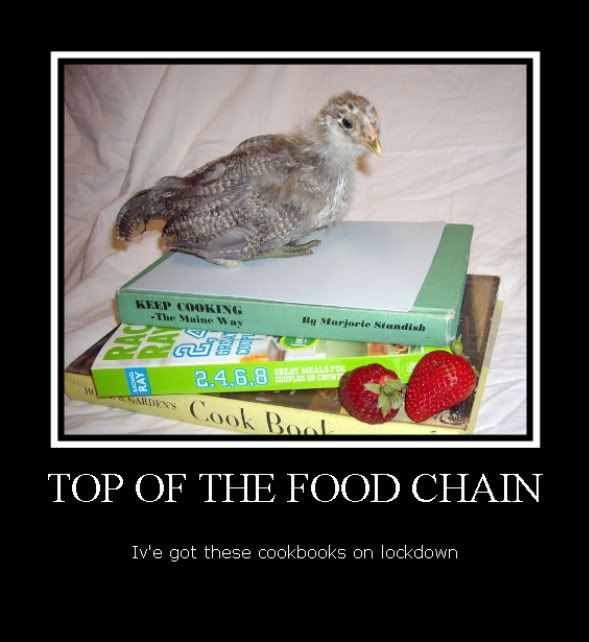 topofthefoodchain039-1.jpg