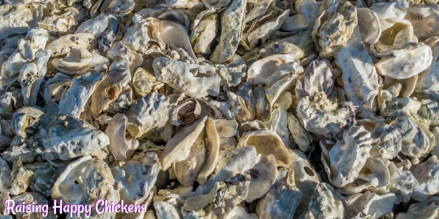 887xNxoyster-shell.jpg.pagespeed.ic.3wYEYfpfUz.jpg