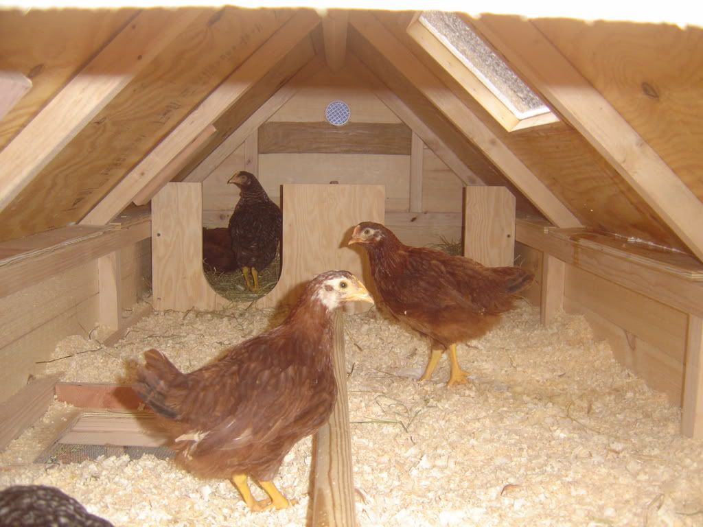 DSC00765.jpg