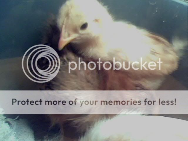 may122010-4.jpg