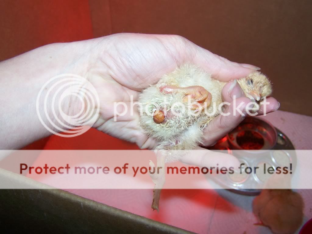 100_3269.jpg