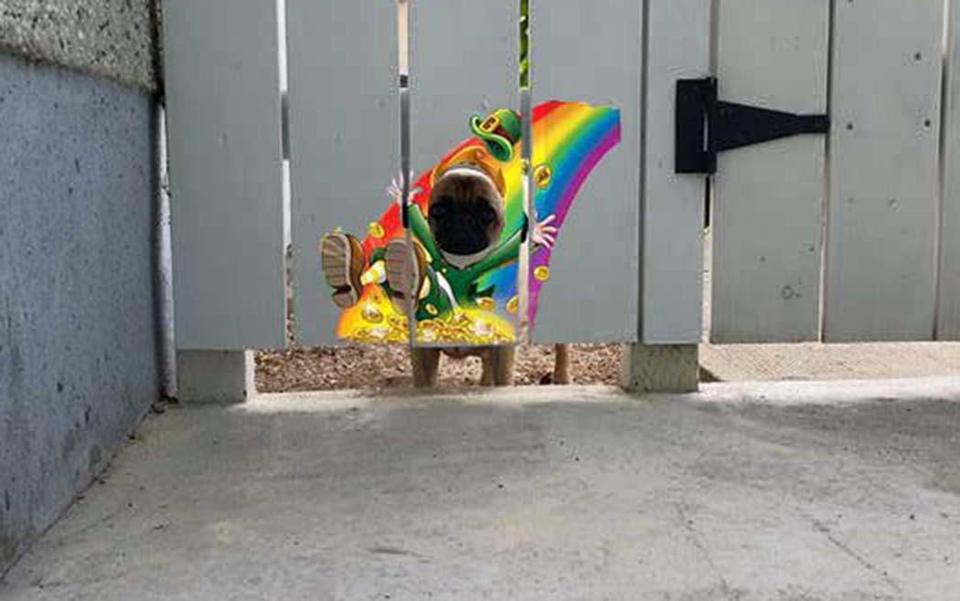 svdpxVX.jpg