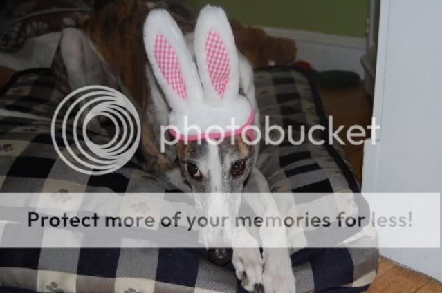 HappyEasterGabby.jpg
