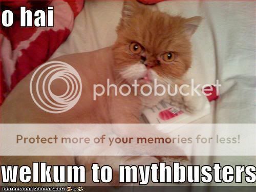 funny-pictures-mythbuster-cat.jpg